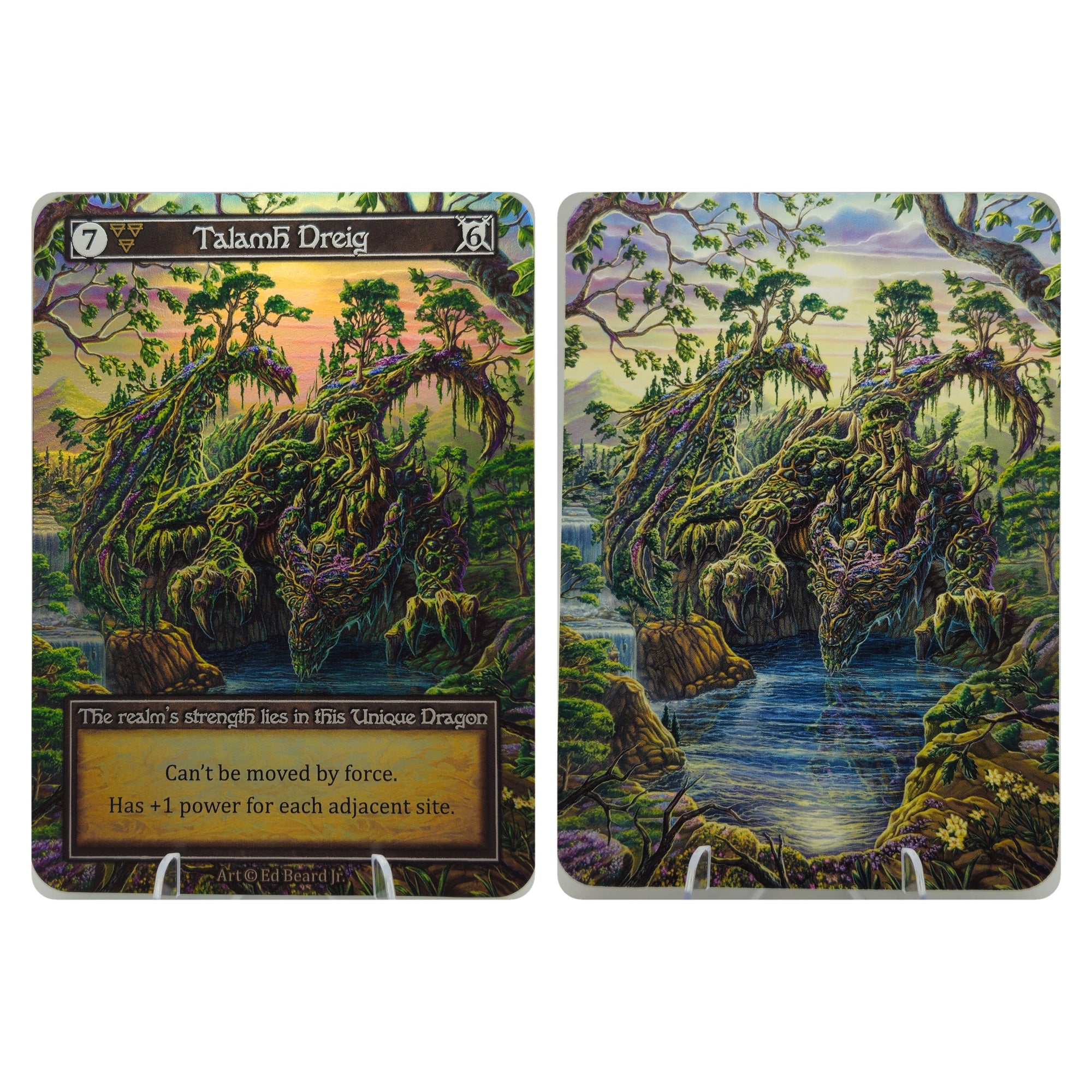 DRAGONLORD Full Foil Set - ALL 13 FOIL CARDS - Sorcery Contested Realm Ed Beard Jr