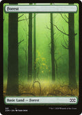 Forest (381)