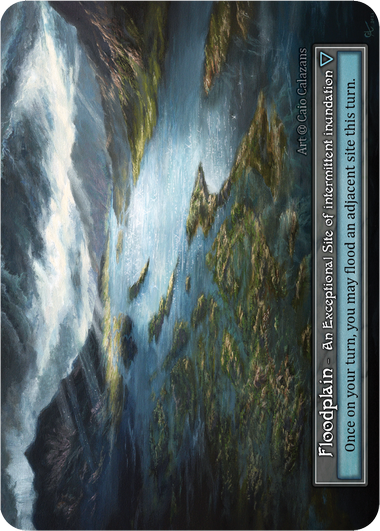 Floodplain (Foil) – Alpha