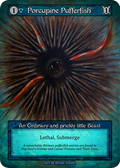 Porcupine Pufferfish – Alpha