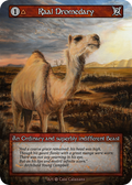 Raal Dromedary – Alpha