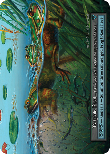 Tadpole Pool (Alpha)