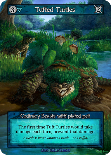 Tufted Turtles – Alpha