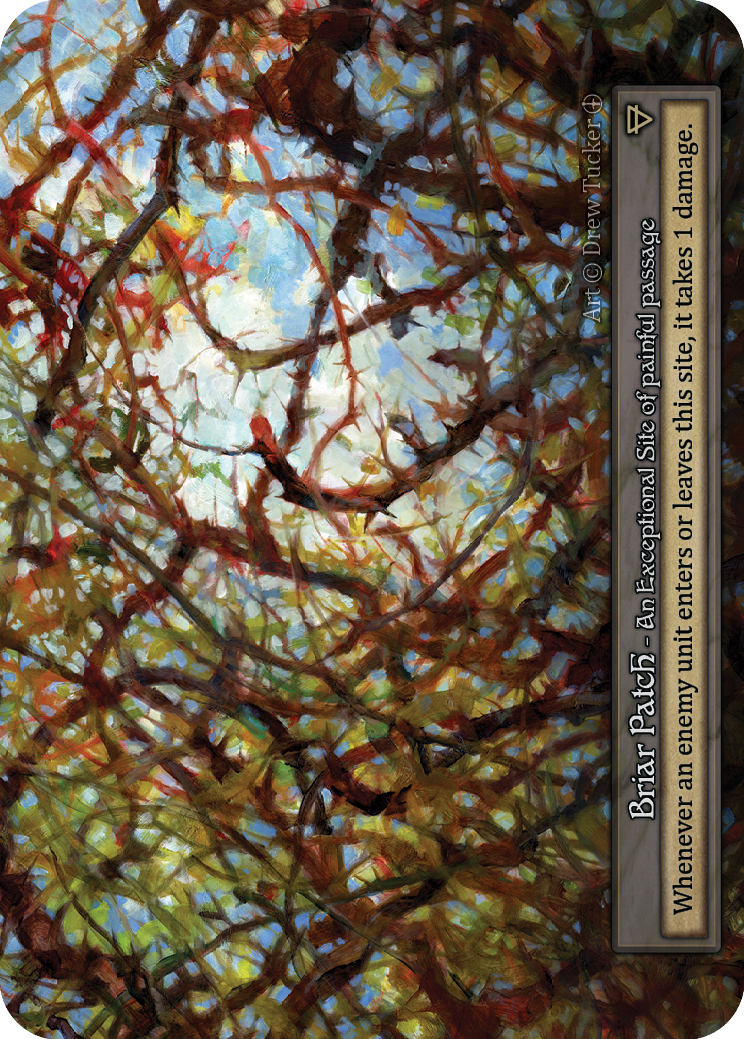 Briar Patch – Arthurian Legends