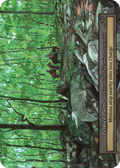 Pebbled Paths – Arthurian Legends