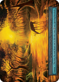 Pond – Arthurian Legends