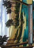 Oasis (Beta)