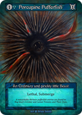 Porcupine Pufferfish – Beta