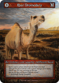 Raal Dromedary – Beta