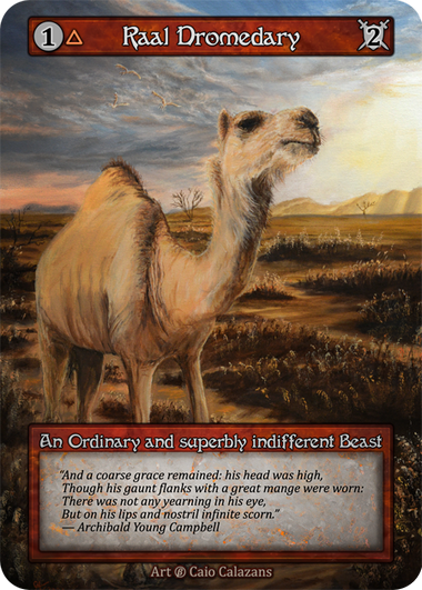 Raal Dromedary – Beta