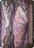 Shifting Sands – Beta