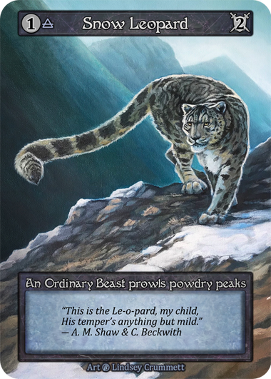 Snow Leopard – Beta