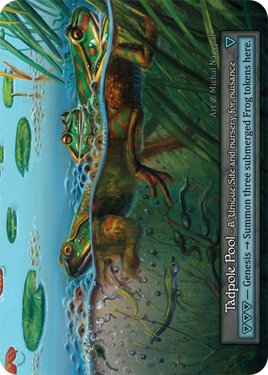 Tadpole Pool (Beta)