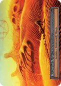 Accursed Desert / Foil