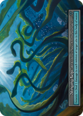 Stinging Kelp / Foil